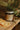 Natural Face Scrubs