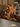 Autumn Experience Bundle